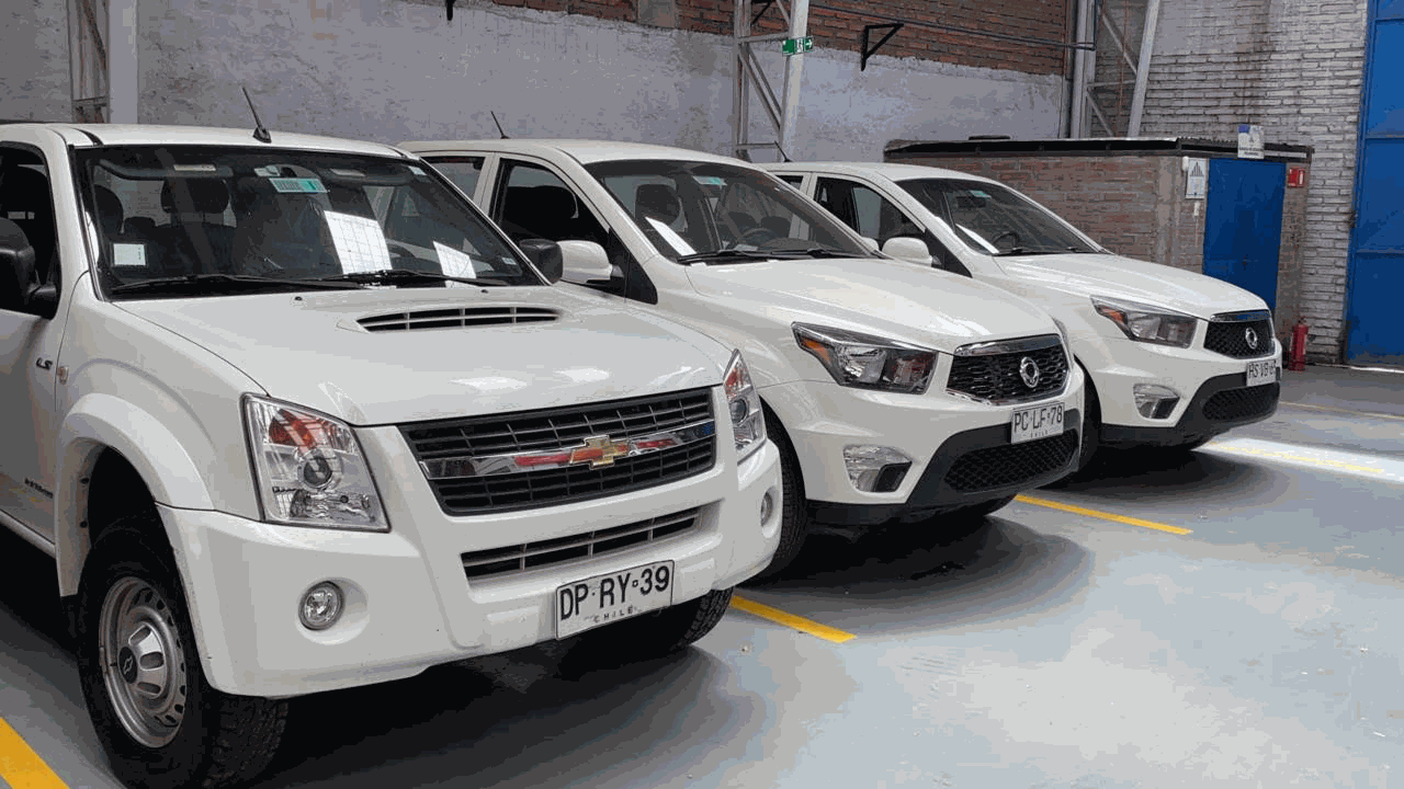 Odoo • Texto e imagen